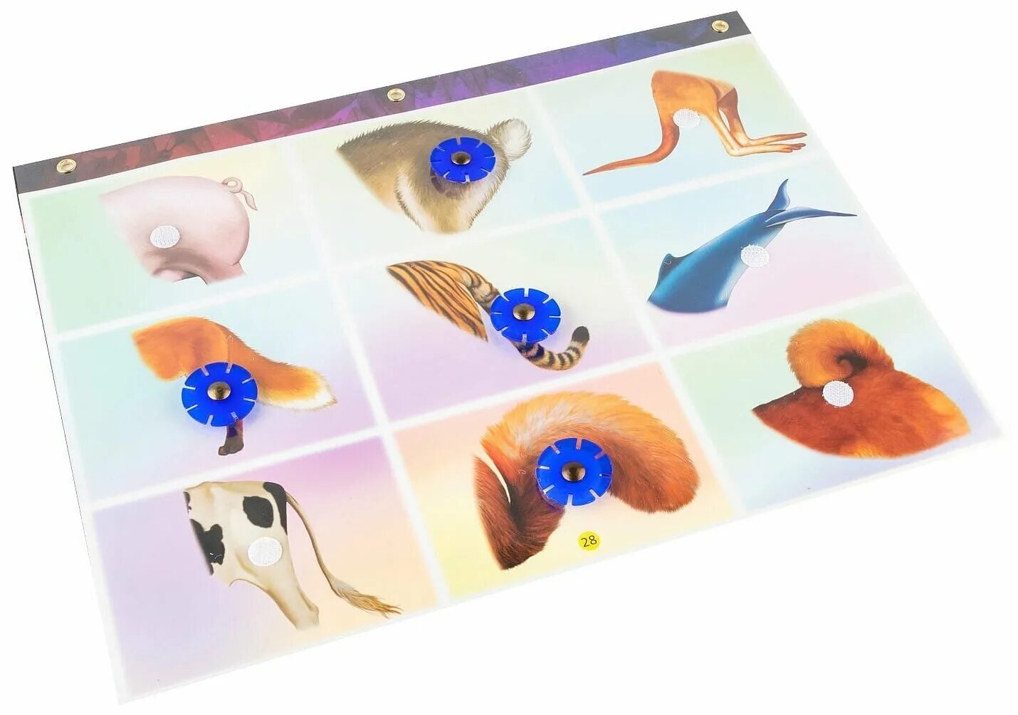 логический экран игровое пособие. логический экран. корвет;логический экран;4 папки + экран. корвет;логический экран;4 папки + экран. логический экран (планшет).