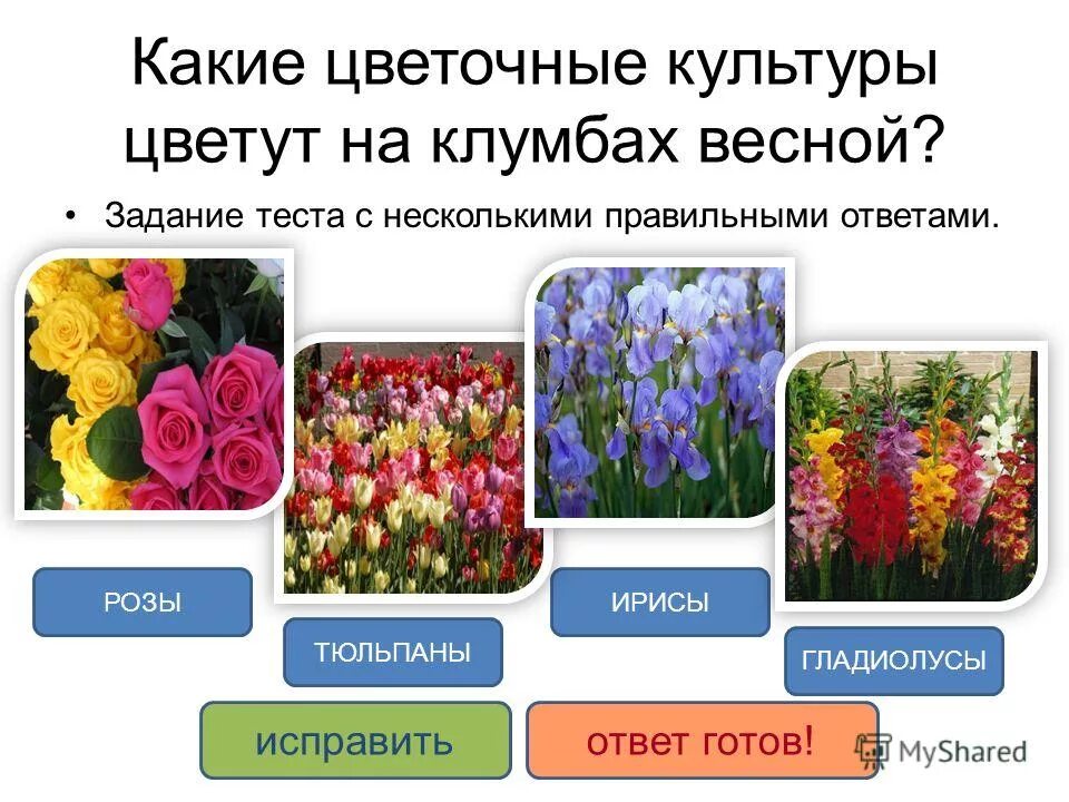 Проверочная работа по теме растениеводство 4 класс. Растениеводство зерновые культуры технические культуры. Проверочная работа по теме растениеводство 4 класс. Проверочная работа по теме растениеводство 4 класс. Тест растениеводство и животноводство.