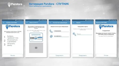 Номер системы пандора