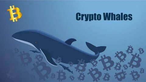 Crypto whale