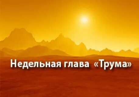 Недельная глава торы