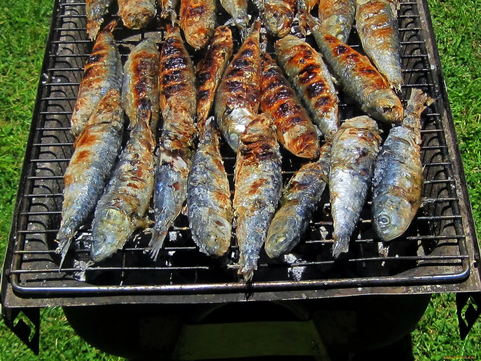 Шашлык рыба скумбрия. Скумбрия рыба на костре. Мангал рыба. Речная рыба на костре рецепты. Жареная рыба на костре.