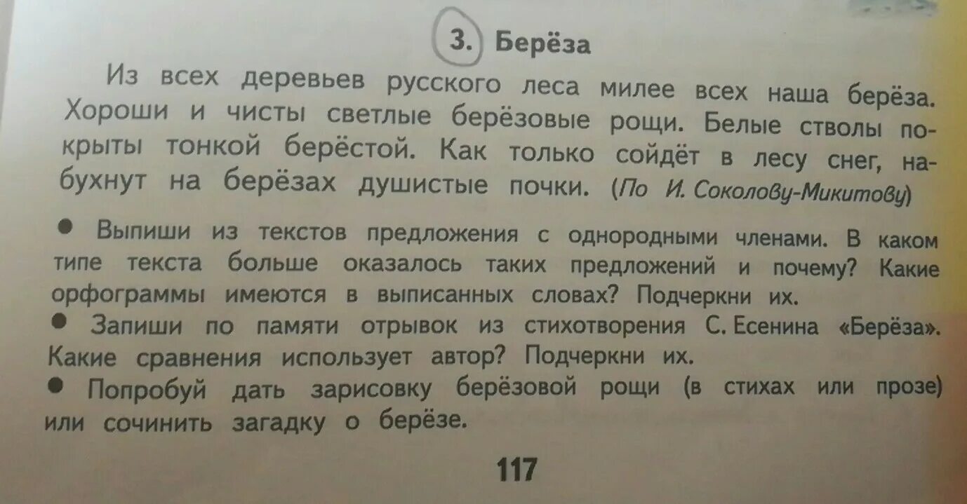 Диктант д т. Из всех деревьев русского леса милее всех. Текст из всех деревьев русского леса милее всех мне наша береза. Из деревьев русского леса милее всех. Предложение про берёзку.