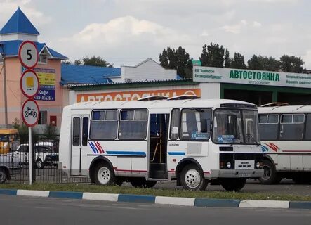 Скородное старый оскол автобус