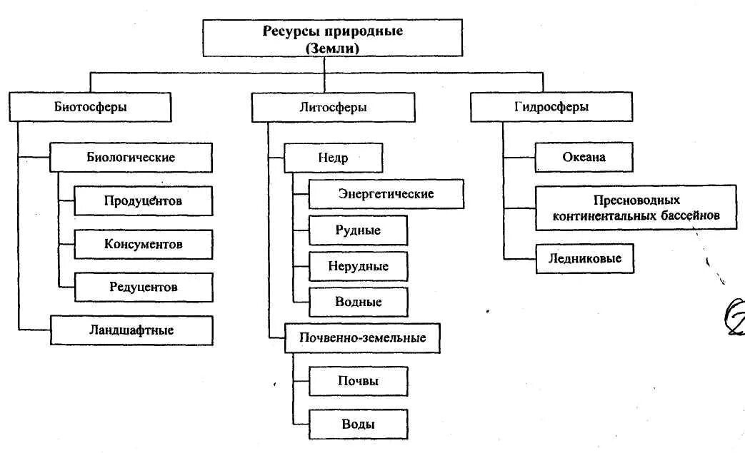 Классификация природных ресурсов схема. Схема типы природных ресурсов. Схема классификация природных ресурсов по географии. Составьте схему виды природных ресурсов. Виды государственных природных ресурсов