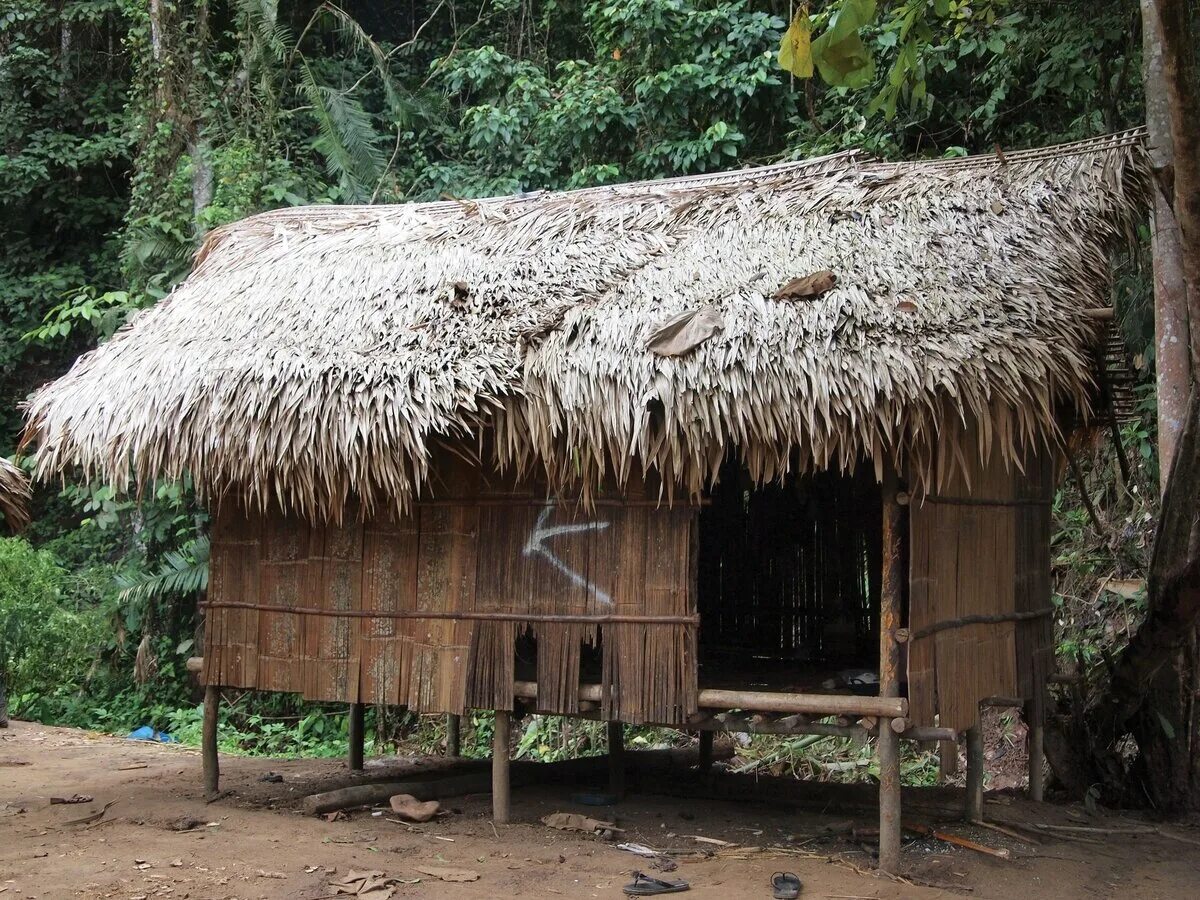 Люди живущие в экваториальном климате. Кабанья жилище Эквадор. Хижины из бамбука и тростника в Таиланде. Жилище меланезийцев. Хижины индейцев Южная Америка.