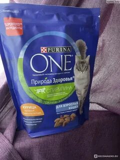 Корм для кошек здоровье