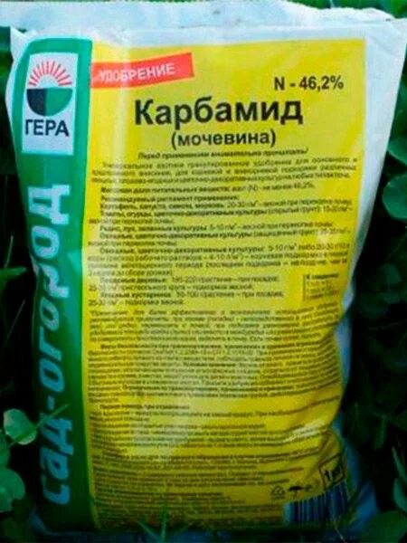 Карбамид можно ли поливать. Карбамид можно ли поливать. Мочевина удобрение норма внесения. Карбамид можно ли поливать. Огурцы подкормка.