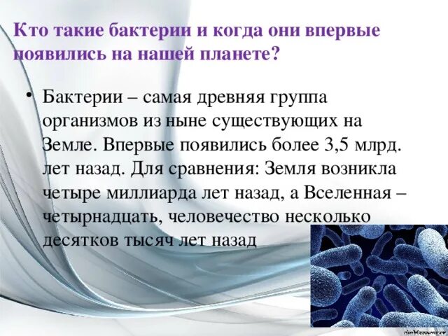 Тест многообразие и значение бактерий и вирусов. Доклад о бактериях. Доклад про бактерии 5 класс. Информация о бактериях 3 класс. Информация о микробах.