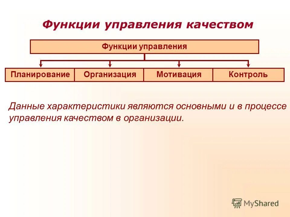 Административное организационное управление. Функции административного управляющего. Административные функции руководителя. Административный отдел функции. Административный отдел функции.