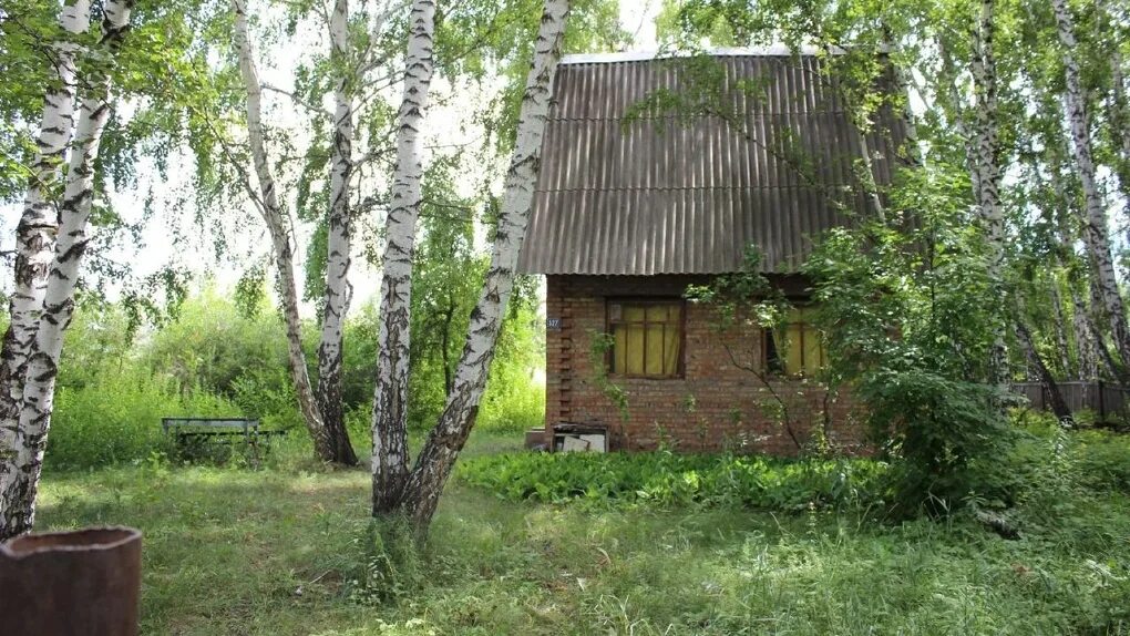 Казань снос хладокомбината 1. Стройка моста через пехорку снт долгий луг. Снт подтонь в новых лядах со спутника. Снт комплекс одинцовский район. Снт снесенный.