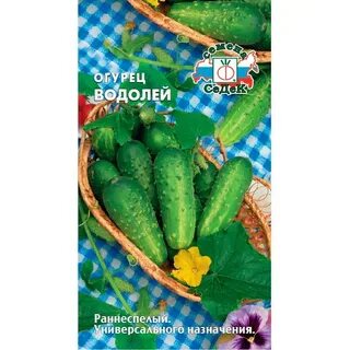 Огурцы сорта водолей