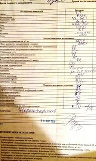 Спермограмма по крюгеру
