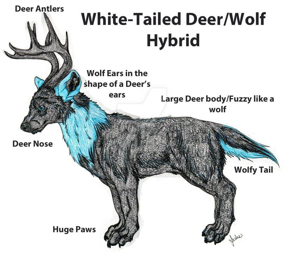 Oh deer перевод с английского. Wolf with antlers. taurus wolf hybrid. body deer по английски. the wolf &amp; taurus.