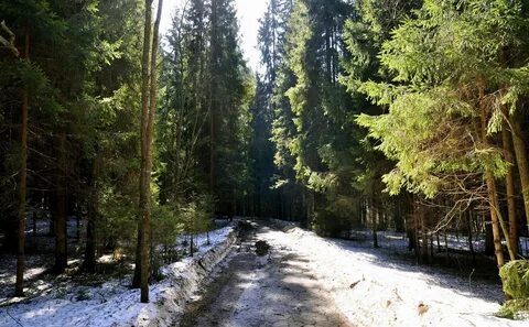 Март обои природа