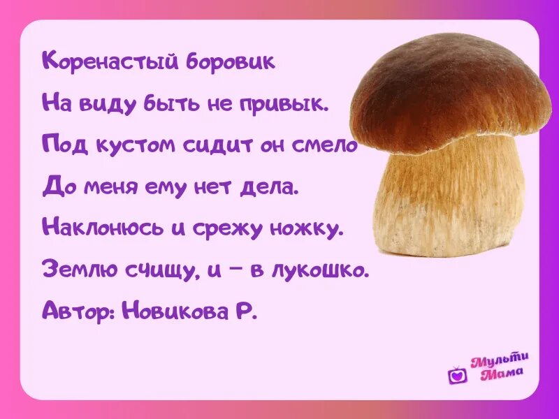 Стих про грибы 2 класс. Стихи про грибы для детей 5-6. Стихотворение про грибы 2 класс. Стих про грибы для детей. Боровик вопросы