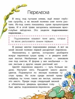 Текст на лесной полянке