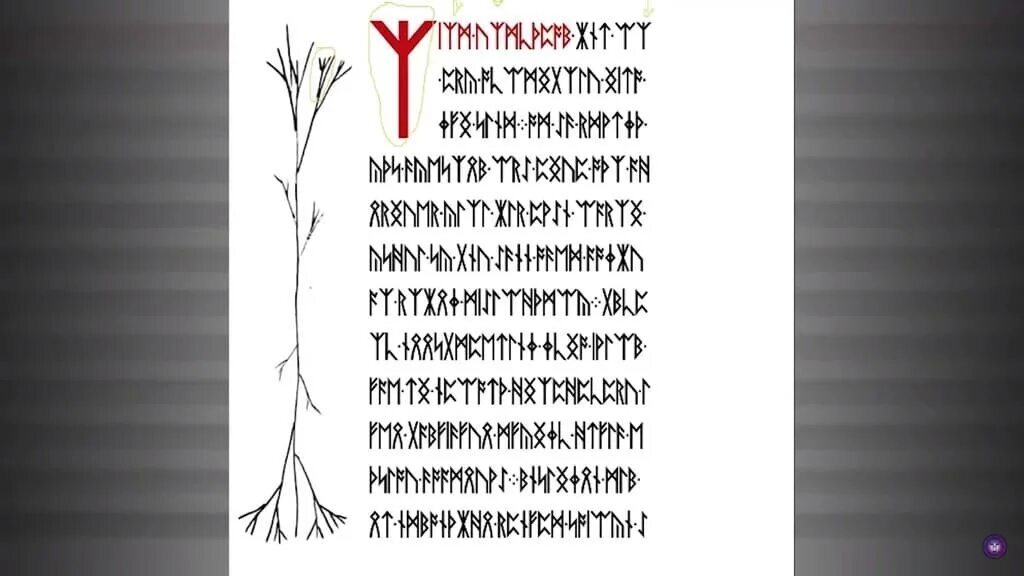 Цикады на реальных событиях. Цикады на реальных событиях. Цикады на реальных событиях. Цикады на реальных событиях. Цикады на реальных событиях.