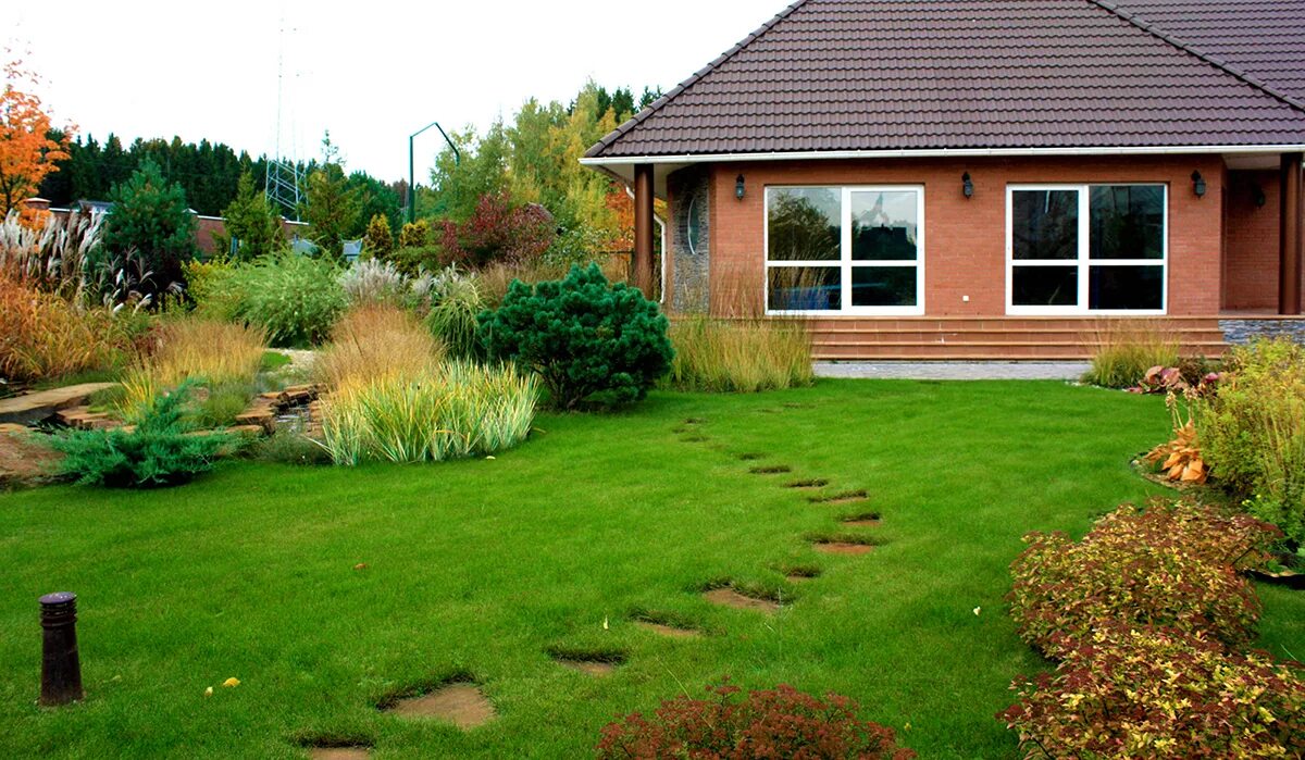 красивая лужайка перед домом. лесной миксбордер. газон мавританский дворик. дизайный ландшафт дачного участка. дизайный ландшафт двора.