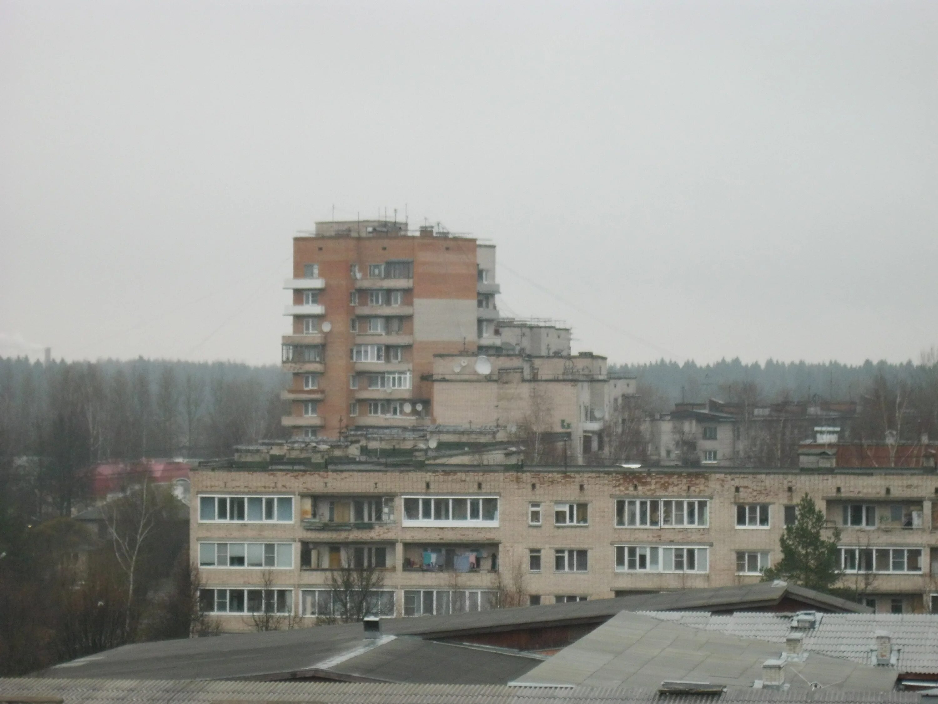 151д гатчина дружная горка. 151д гатчина дружная горка