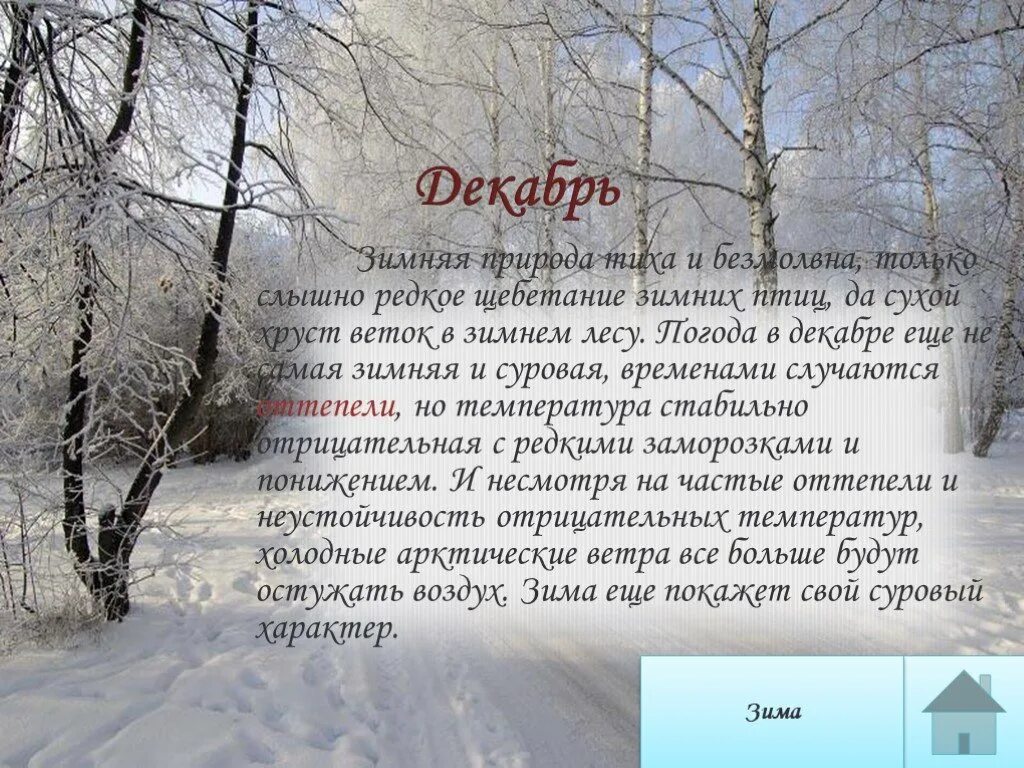 Описание природы зимой. Сочинение на тему декабрь. Декабрь описание. Описание неба зимой. Описание декабря месяца