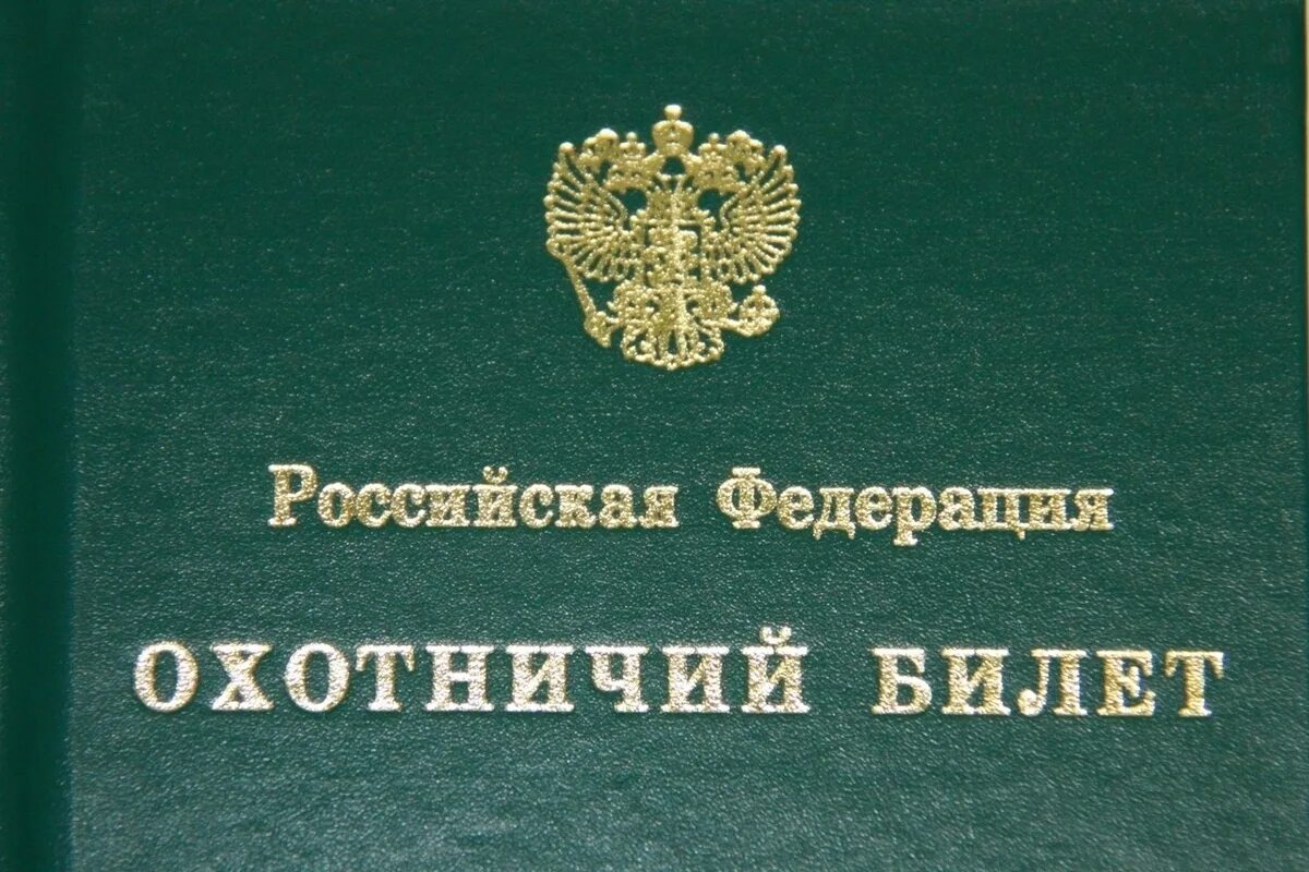 Охотничий минимум 2025 для получения охотничьего билета. Охотничий минимум 2025 для получения охотничьего билета