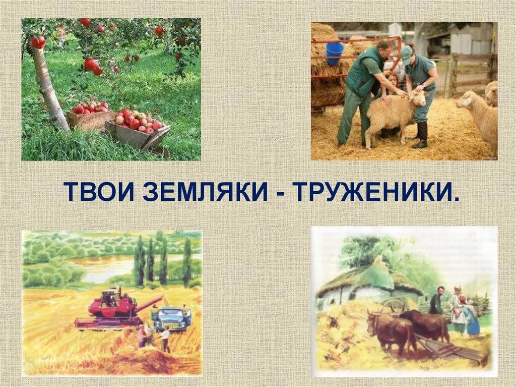 Твои земляки труженики кубановедение