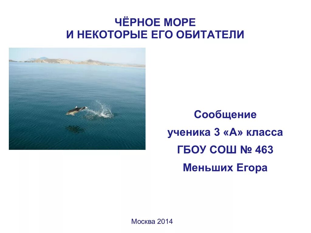 Черное море сообщение 2 класс окружающий мир. Доклад про море краткое содержание. сообщение об одном обитателе черного моря. презентация черное море пример.