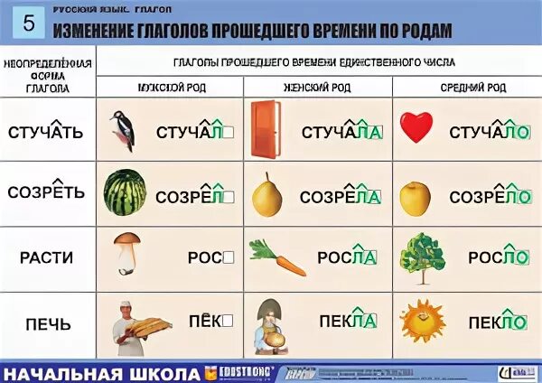 Глаголы прошедшего времени по родам. Изменение глаголов по родам. Изменение глаголов прошедшего времени по родам. Изменение глаголов по родам и числам.