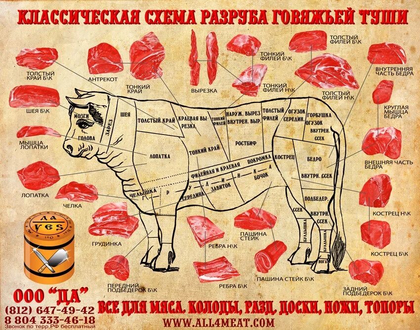 Корова разделка туши схема. Разделка мяса говядины схема. Разделка туши говядины схема. Говядина схема КОСТРЕС.
