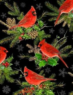 Cardinal components