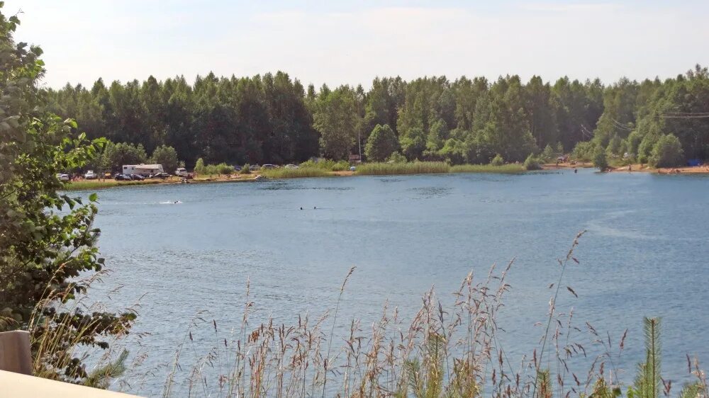 Оцените приближенно площадь западного троекуровского пруда. Владимирская область Петушки 4 карьер. Четвёртый карьер Петушки. Третий карьер в Петушках. Петушки город карьер.