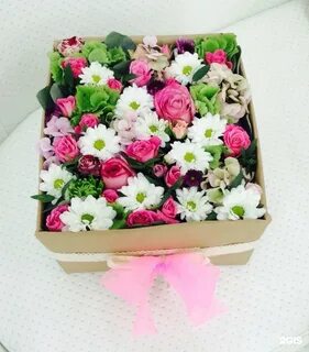 Дом цветов тула