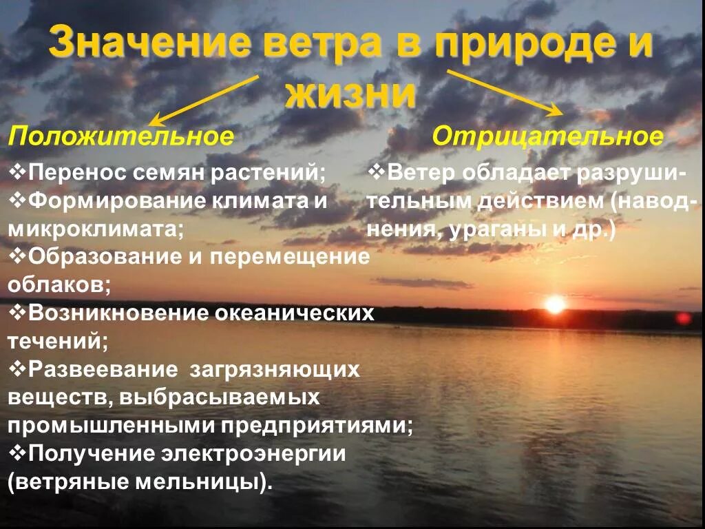 Нужен ли ветер. Влияние ветра на природу. Польза ветра. Значение ветра. Вред ветра.