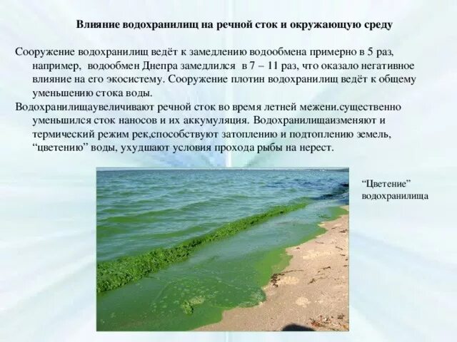 Влияние водохранилищ на окружающую среду. Влияние стоков на реку. Влияние водохранилищ на окружающую среду кратко. Влияние на окружающую среду Речной.