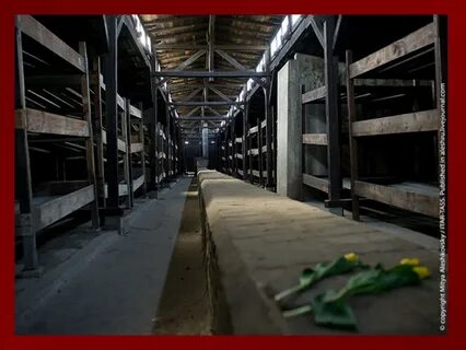 Виртуальная экскурсия по освенциму