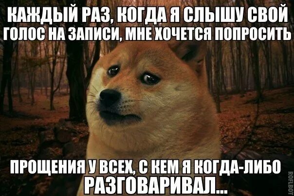 Слышно форум