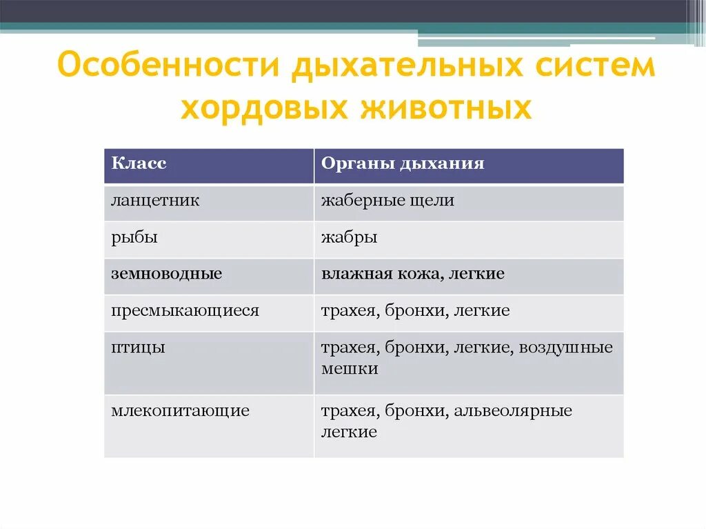 Название групп органов. Органы дыхания системы таблица 7 класс биология. Таблица по биологии 7 класс органы дыхания животных. Дыхательная система животных 7 класс биология. Органы дыхания животных таблица 7 класс.