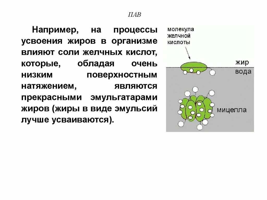 Поверхностно-активные вещества примеры. Желчные кислоты поверхностно активные. Пав и жир. Желчные кислоты пав. Органический пав