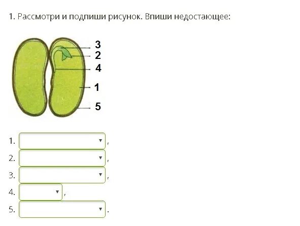 Подписать рассмотреть