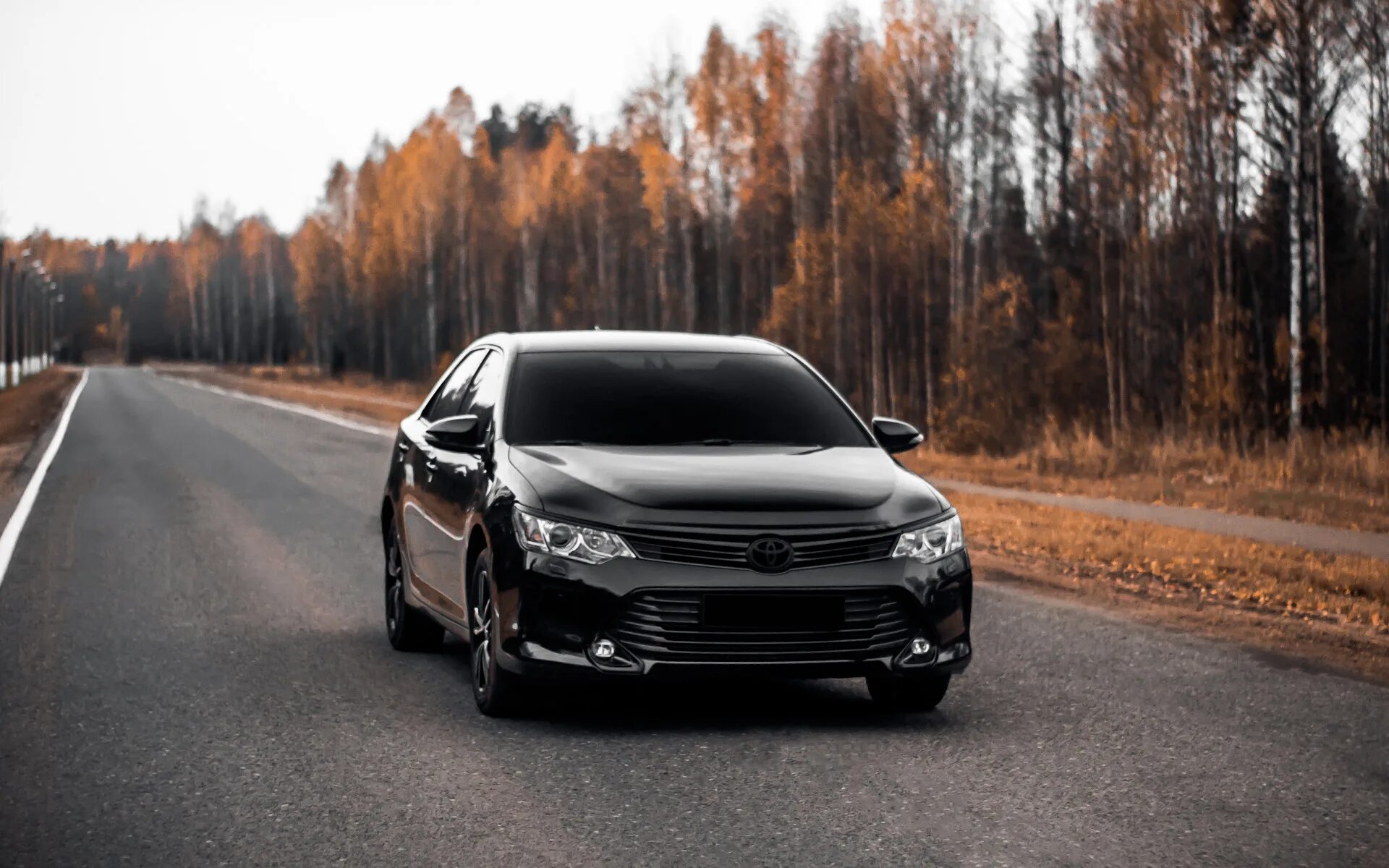 Море собак, и Camry на озере - DRIVE2