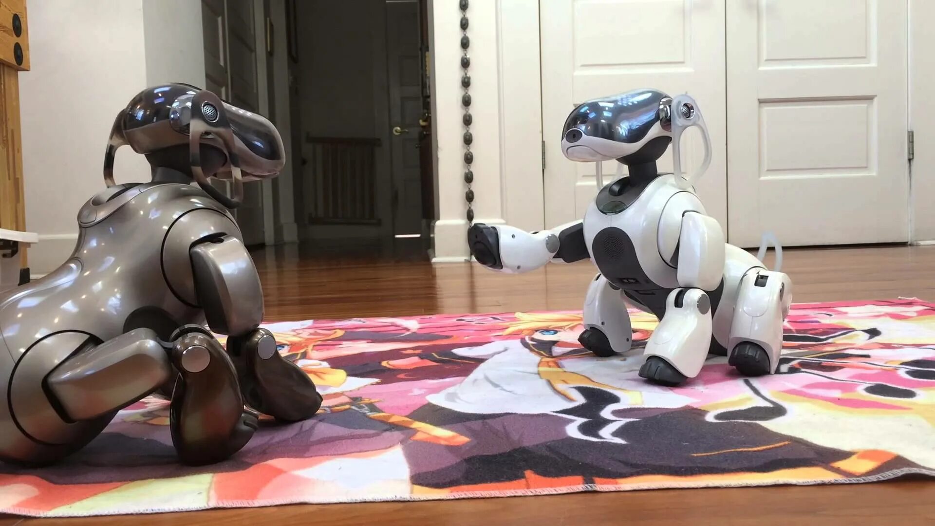 Робот собака смотрит. Sony aibo ers-7. собака робот айбо. аксель собака робот. aibo ers 311.
