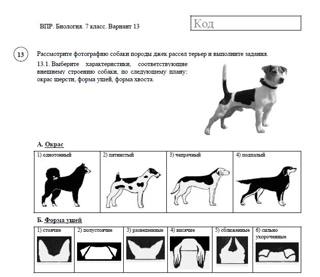 Впр 2023 биология 7 класс концентрическая. Американский стаффордширский терьер стандарт породы. ВПР по биологии 8 класс 2021 с ответами. ВПР по биологии 7 класс 2021 с ответами 1 вариант. Стаффордширский терьер стандарты окраса.