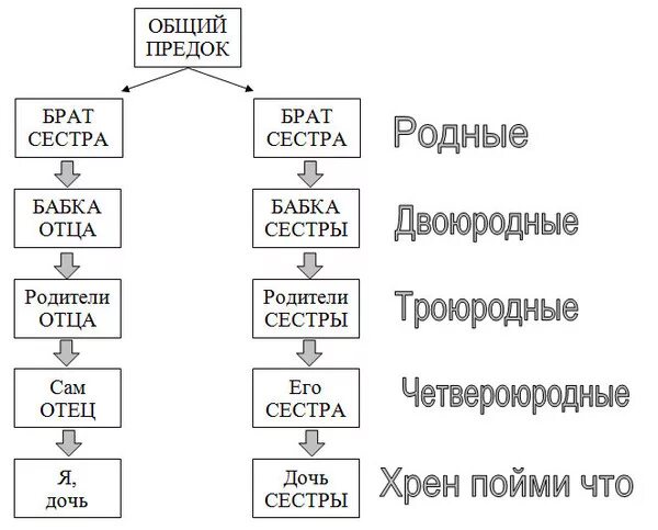 Племянница двоюродной сестры. Родного брата внучка кем приходится родной сестры брата. Названия родственников. Таблица родственных связей. Схема родственных связей.