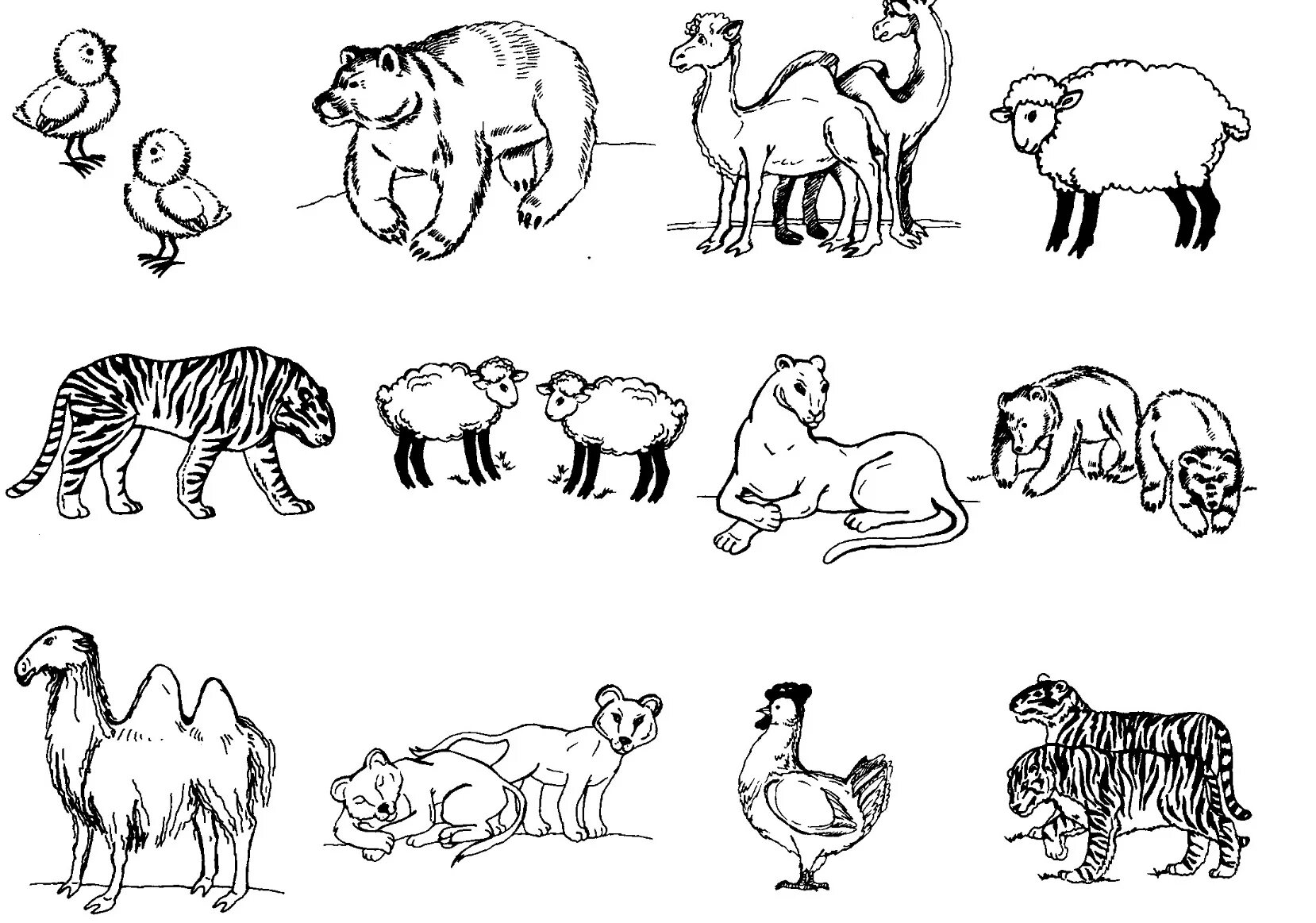 Раскраска группы животных. Дикие и домашние животные раскраска. Рисунки животных для детей. Раскраска "Дикие животные". Раскраски животные для детей.