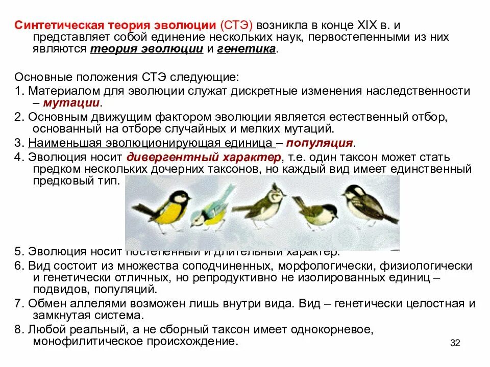 Синтетическая теория эволюции (СТЭ). Положения синтетической теории. Основные положения синтетической теории. Основные положения синтетической теории эволюции.