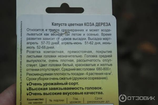 Семена Капуста цветная Коза-дереза х 3 уп. Аэлита 142673970 купить в интернет-ма