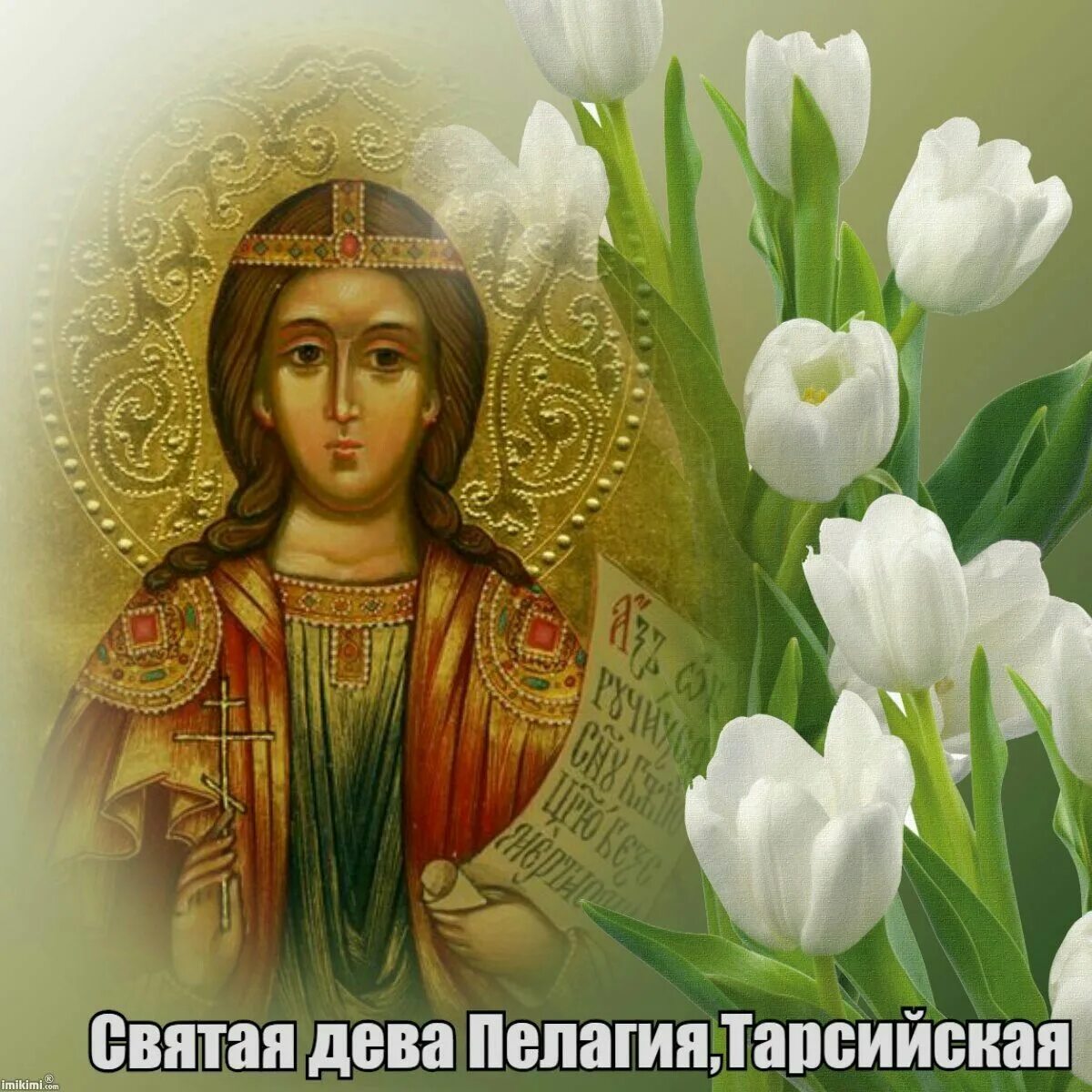 День святых дев. Мученица пелагия тарсийская. пелагия дева тарсийская. мученица пелаги́я тарсийская, дева. прмц. пелагии, девы тарсийской.