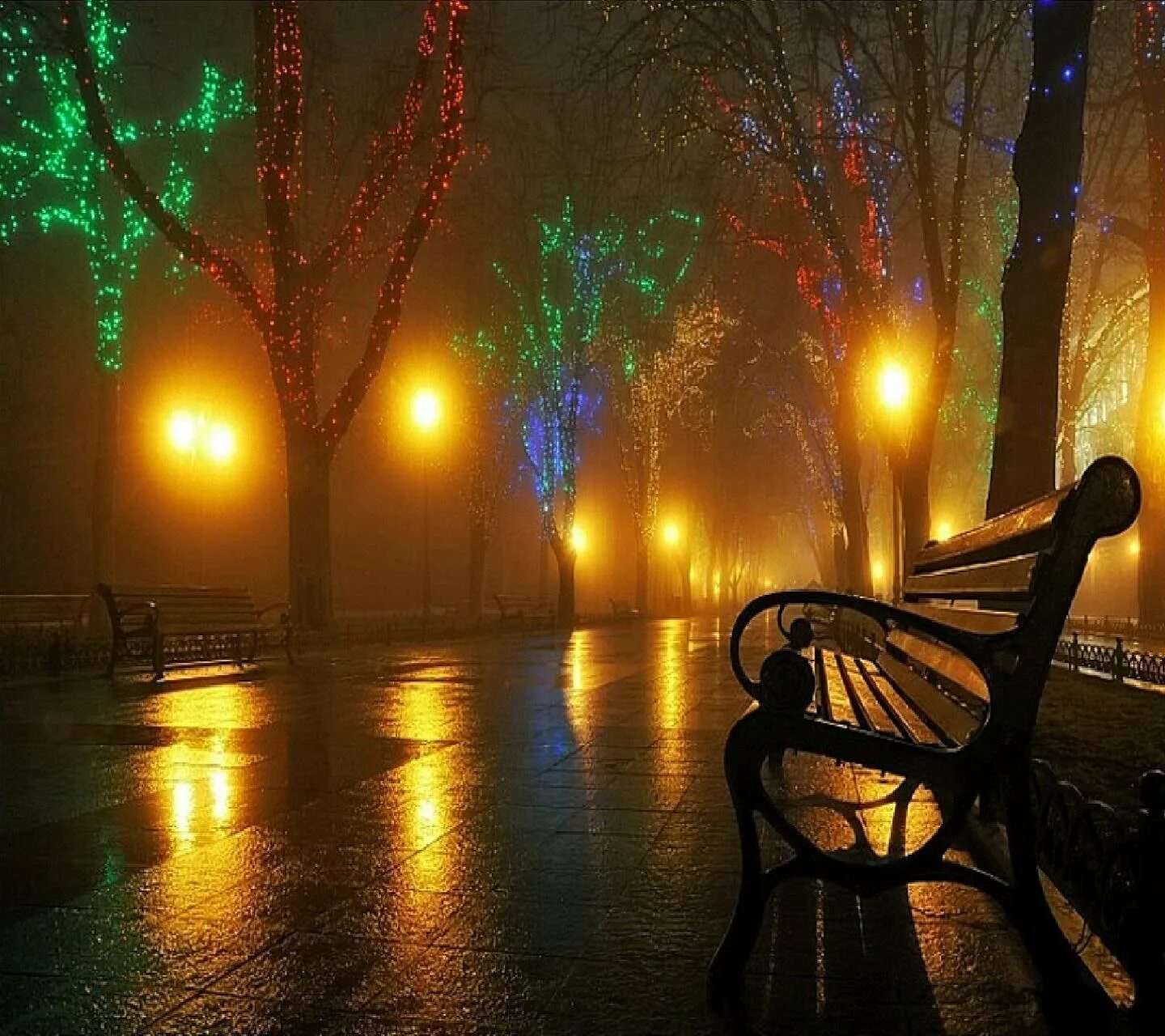 Красивая ноябрьская ночь. Ночная аллея с фонарями. Ночной парк с фонарями. Осенний парк дождь вечер. Красивый ночной парк.