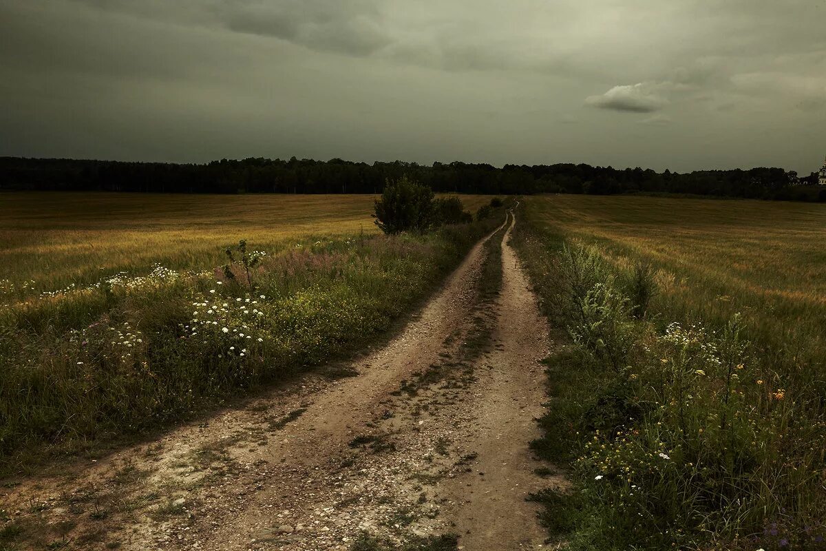 Деревенская дорога. Тропинка в поле. Тропинка в ночном поле. Дорога в деревне.